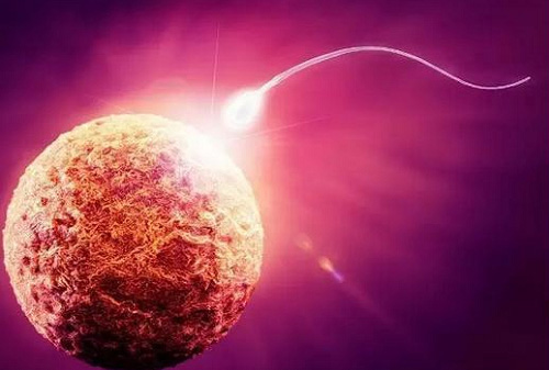 2022上海哪個醫院做試管嬰兒成功率最高？多長時間？