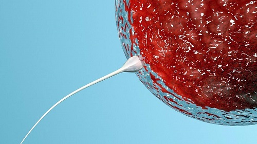 2020有去博鰲試管三代成功的嘛？要花多少錢？