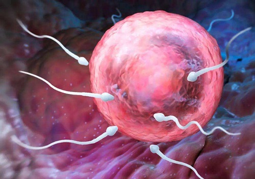 2022哈爾濱試管嬰兒價格多少？