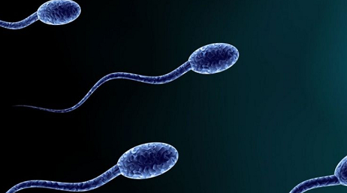 2022廣州第三代試管嬰兒排名如何？