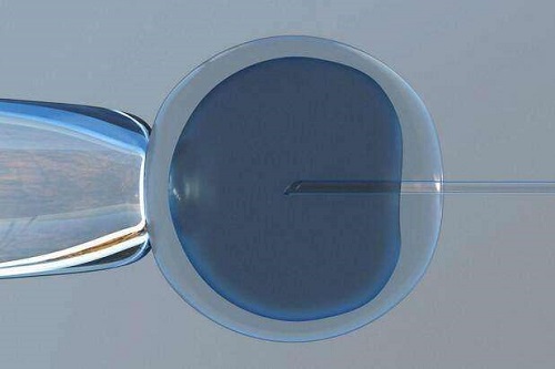 2022廣州第三代試管嬰兒多少錢？