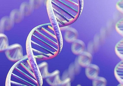 2022做試管價格大約多少錢