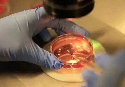 2022南通第三代試管嬰兒多少錢？