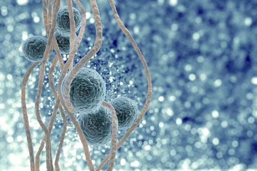 三代試管移植流程中要注意什么？