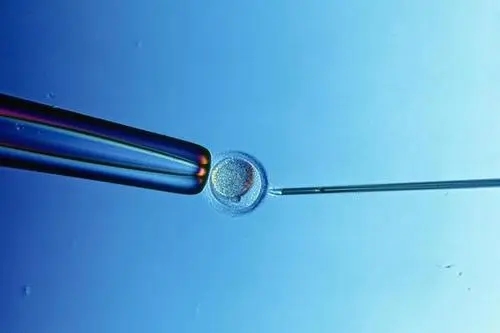 2022哪個醫院做試管嬰兒成功率最高