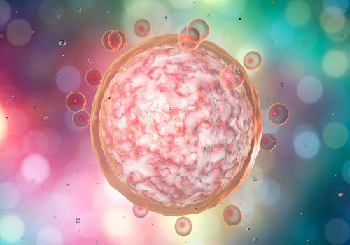 2016試管嬰兒費用總結，這些因素都會導致費用增加