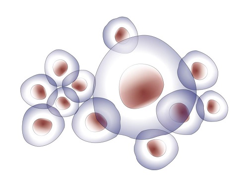 2022三代試管嬰兒醫院排行榜情況如何