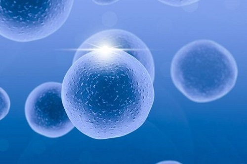 2021年36歲和37歲做試管嬰兒成功率有什么區別？