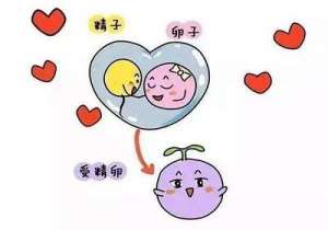 試管哪家醫院成功率最高