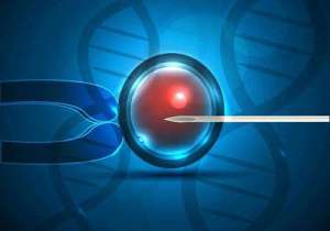 做試管嬰兒大概多少錢