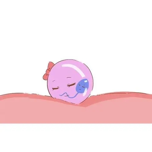 三代試管嬰兒到底要多少錢呢