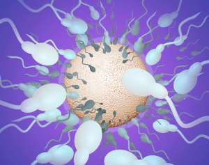 做一次試管嬰兒大概要多少錢呢