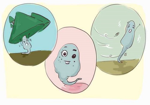 俄羅斯第三代試管嬰兒的費用究竟要多少