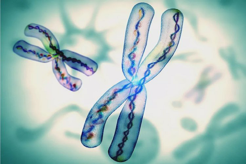 一般做試管嬰兒要多少錢