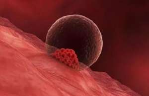 準備第三代試管需要多少錢