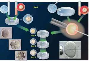 做試管嬰兒就能生嗎