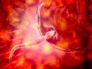 做試管嬰兒沒有結婚證行嗎