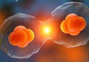 國內哪個醫院做試管成功率高