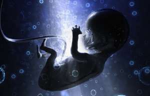 泰國費用標準是多少