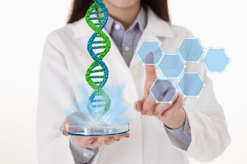 選擇美國、泰國、國內做試管對比