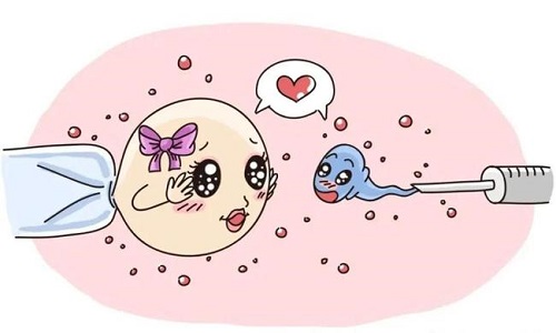 泰國試管嬰兒可能出現風險嗎