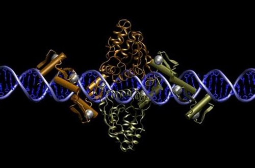 泰國做試管要多長時間