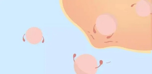 試管嬰兒操作時可以控制嗎