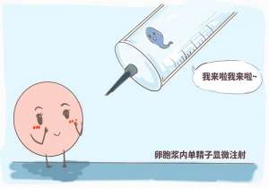 去美國做試管嬰兒怎么做準備