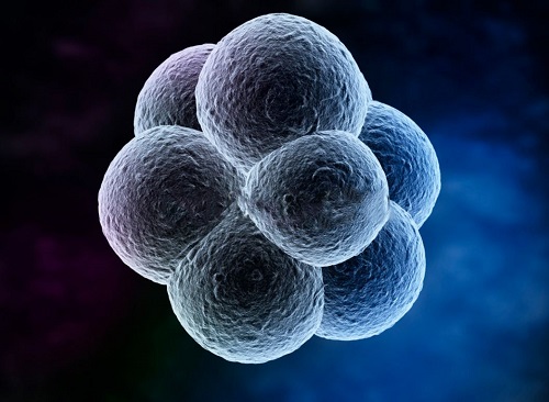 美國做試管嬰兒需要多少錢