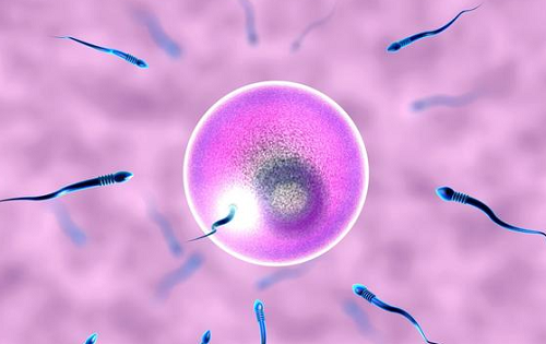 如何選擇美國的試管嬰兒醫院