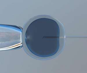 醫院三代試管到底需要多少費用