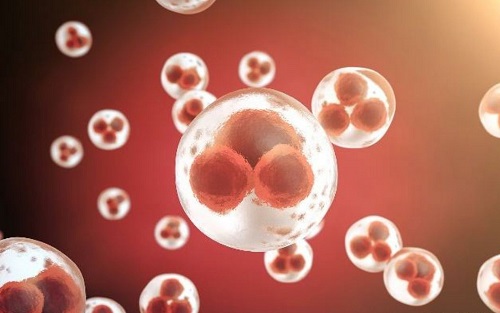 泰國做試管嬰兒的流程到底有哪些