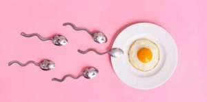 俄羅斯試管嬰兒是怎么樣的流程