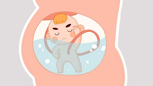 做泰國試管嬰兒要準備多少錢