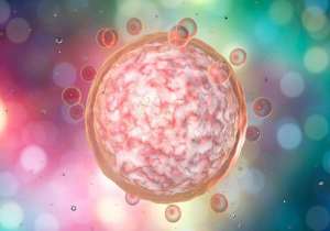 泰國試管嬰兒中介機構收費價格怎么樣