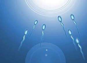 單身可以在俄羅斯做試管嬰兒嗎