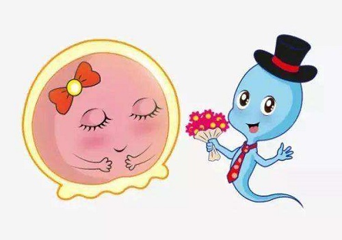 最新俄羅斯試管嬰兒的費用