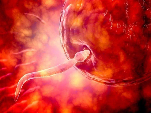 俄羅斯試管嬰兒到底有什么優勢呢